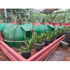 Pembangkit Listrik Tenaga Biogas Sampah [ PLTBg 8-115]