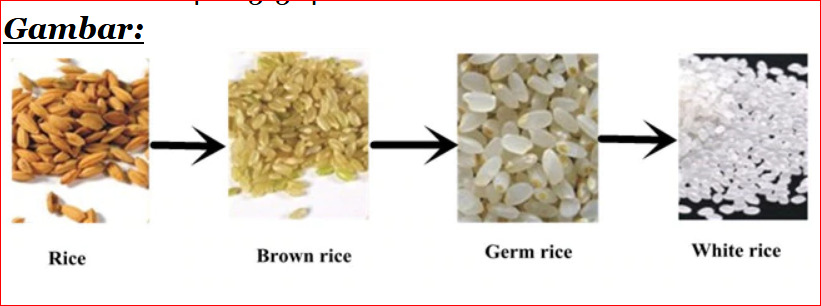 Mesin Giling Beras Portabel MGP 10 L 4