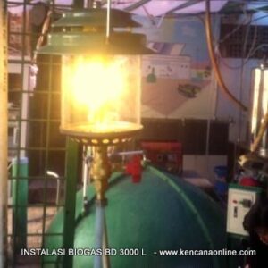 Biogas BD 3000 L (2)