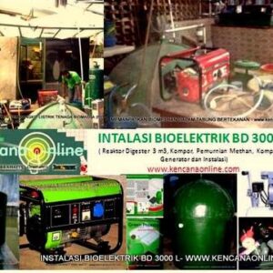 Instalasi Bioelektrik BD 3000 L