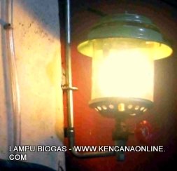 Lampu Petromax Biogas