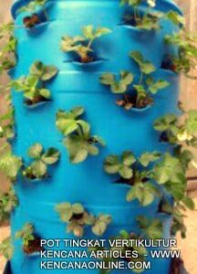 Pot Tingkat KVD Kencana