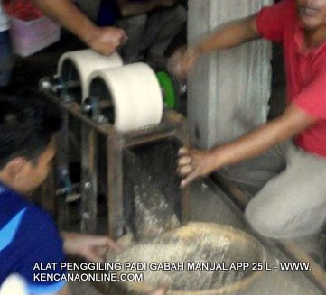 Penggiling Padi Sawah Portabel (21)